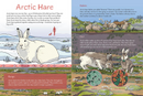 Animals Illustrated : Arctic Land Mammals