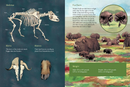 Animals Illustrated : Arctic Land Mammals