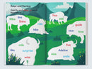 Drumbeat Decodable Set 2 (8 Books)