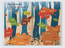 Drumbeat Decodable Set 2 (8 Books)