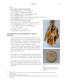 Bilijk : A Documentary History of Kingsclear First Nation, 1780–1950 (Pre-Order for Nov 04/25)