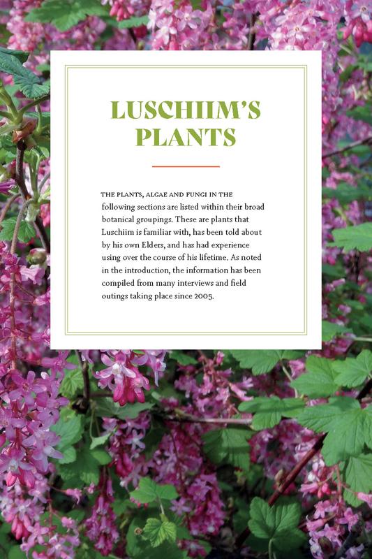 Luschiim's Plants