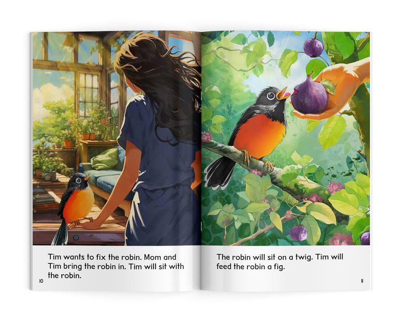 Drumbeat Decodable Book Collection : Tim and Robin (Pre-Order for June 10/24)