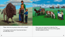 Mama Shares About and Papa Shares About. Métis Set (10 books)