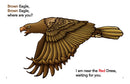 Brown Eagle, Brown Eagle Where Are You? (HC)