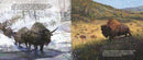 Buffalo Ways : The Enduring Story of Buffalo and the First Peoples of North America (HC) (Pre-Order for Sept 15/26)