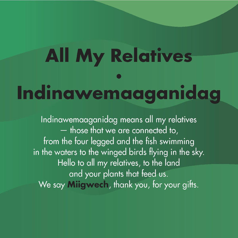 All My Relatives / Indinawemaaganidag. English and Anishinaabemowin (BD)