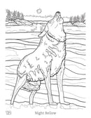 Indigenous Art Colouring Book / Livre à colorier d'art autochtone - Ronnie Simon