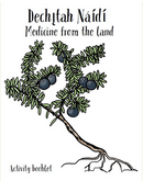 Dechı̨tah Náıdı́ Activity Book