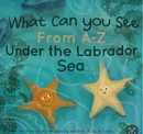 What can you See From A-Z Under the Labrador Sea