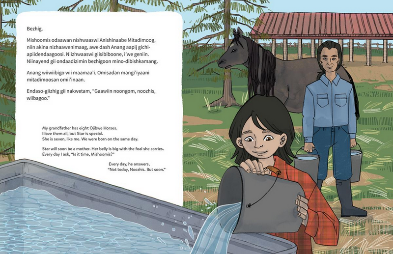 Wiijibibamatoon Anangoonan / Runs with the Stars (English & Anishinaabemowin) (FNCR 2023)