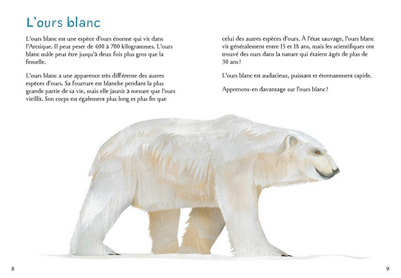 Animaux illustrés: Ours polaire / Polar Bear (FR)