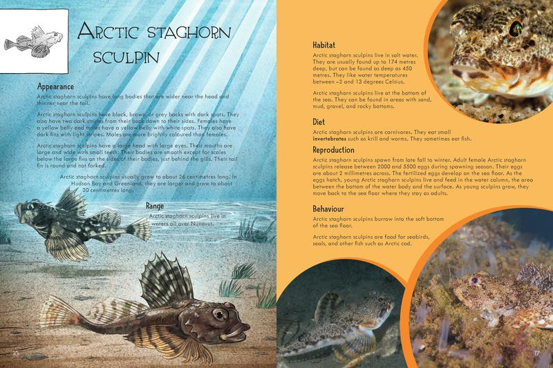 Junior Field Guide : Fishes of Nunavut