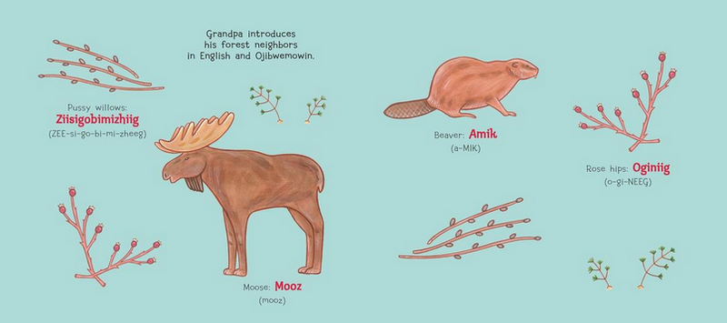 Finding Moose (FNCR 2023)