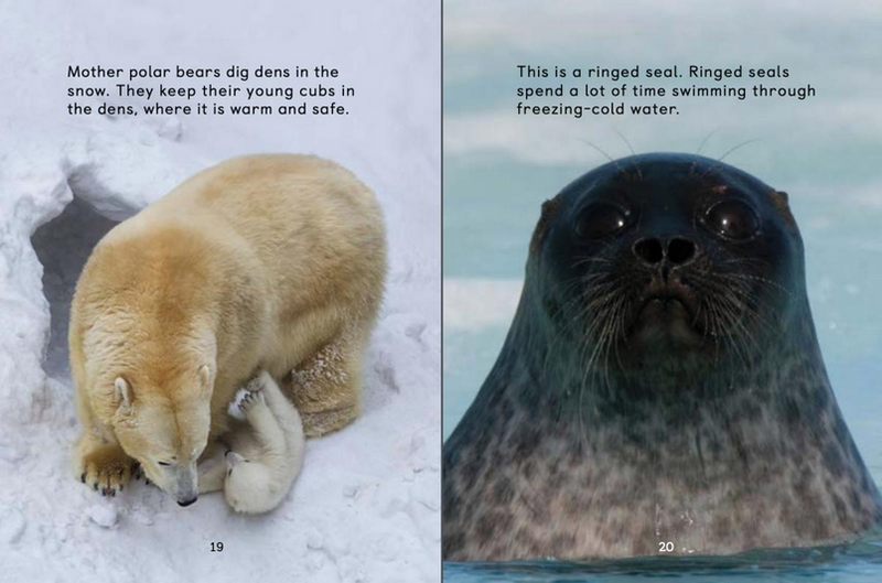 How Animals Survive in the Cold