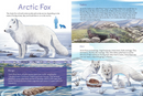 Animals Illustrated : Arctic Land Mammals