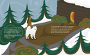 Woolly Dog Warms His Family (HC). Coast Salish Tales 4.