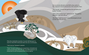 Woolly Dog Warms His Family (HC). Coast Salish Tales 4.