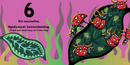 Comptons les bestioles / Aambe Gindaasaa Mnidooshag. Dual-language French and Anishinaabemowin (Ojibwe, Bkejwanong/Walpole Island dialect) (Board Book) (FR) (Pre-Order for Oct 6/26)