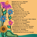 Comptons les bestioles / Aambe Gindaasaa Mnidooshag. Dual-language French and Anishinaabemowin (Ojibwe, Bkejwanong/Walpole Island dialect) (Board Book) (FR) (Pre-Order for Oct 6/26)