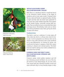 Plant Teachings from My Auntie : Gathering Coast Salish Plants for Medicine, Textiles, Nourishment, and Ceremony