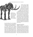 Toronto The First 13,000 Years : An Illustrated History. 2nd Ed. (Pre-Order for Sept 1/26)