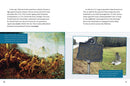 The Choctaw : People, Culture, and History (PB) (Pre-Order for Aug 1/26)