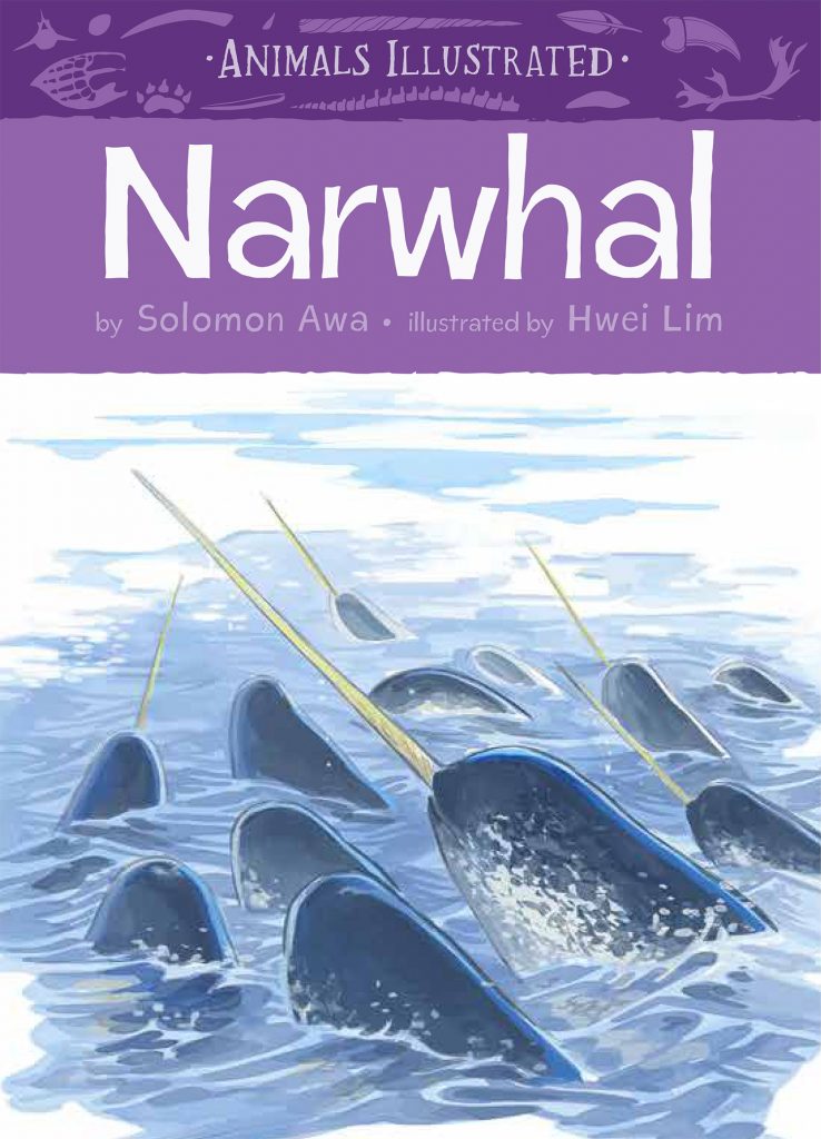 Animals Illustrated: Narwhal