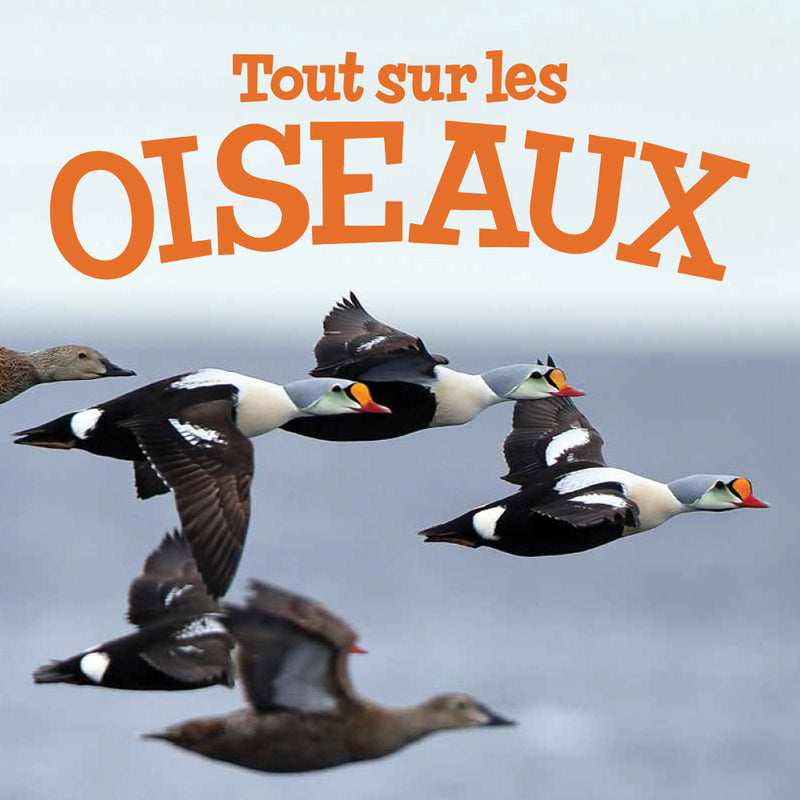 Tout sur les oiseaux / All About Birds (FR)