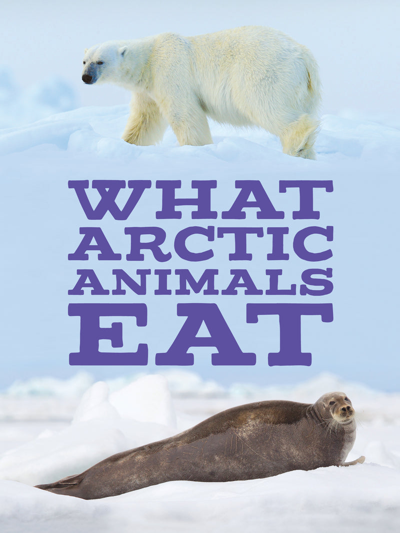 What Arctic Animals Eat